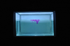 Think Tank