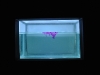 Think Tank